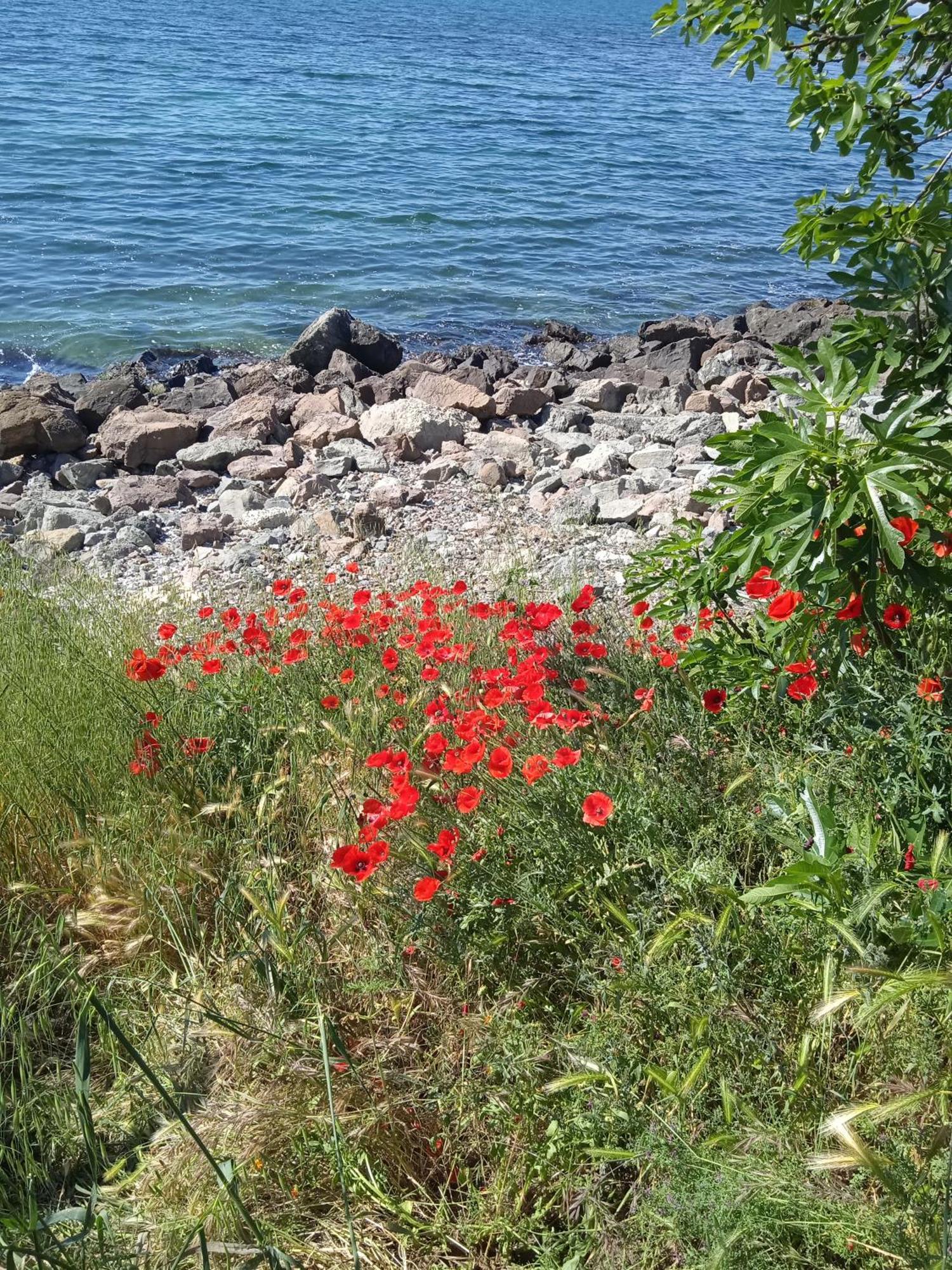 Nessebar, Studio,South Beach, Larisa ภายนอก รูปภาพ
